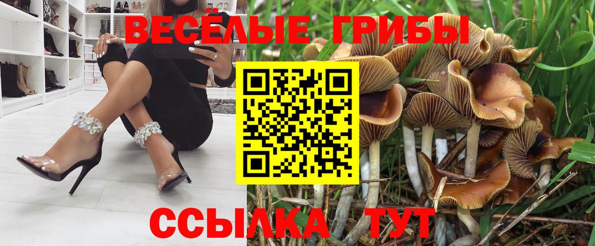 Псилоцибиновые грибы мухоморы  Вход с VPN  Галлюциногенные грибы Cubensis  Балашиха 