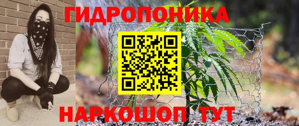 Каннабис индика Балашиха